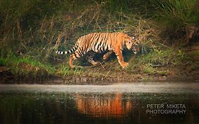 Tiger Corner Inn Homestay